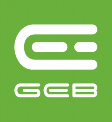 Logo design for electric bikes