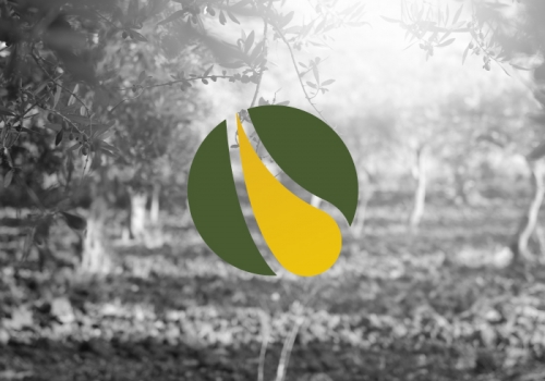 Logo design for a company dedicated to the buying and selling of olive oil